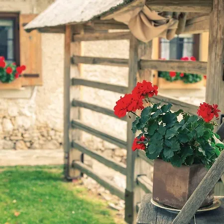 Beautiful In Hébergement de vacances Mozirje